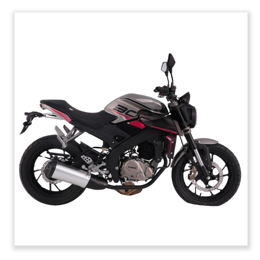 RACER 300 4V PLOMA (4)